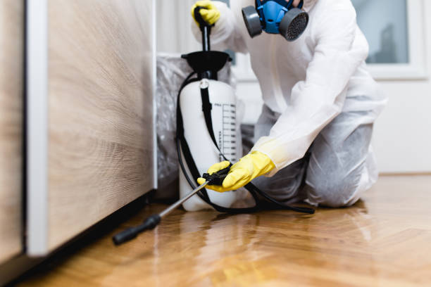 Best Affordable Pest Control Services  in Presque Isle, ME