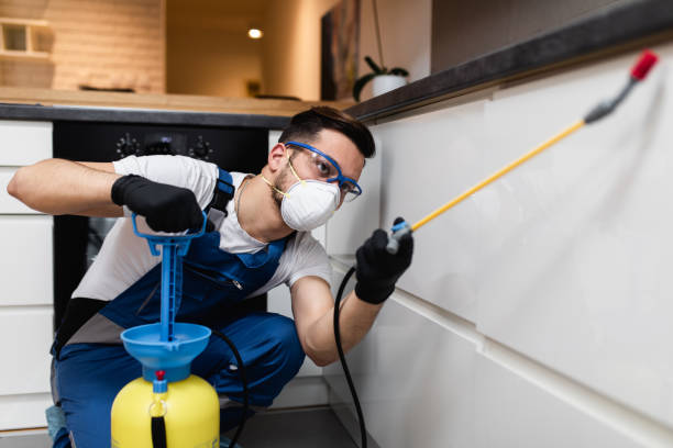 Best Wasp Removal Services  in Presque Isle, ME