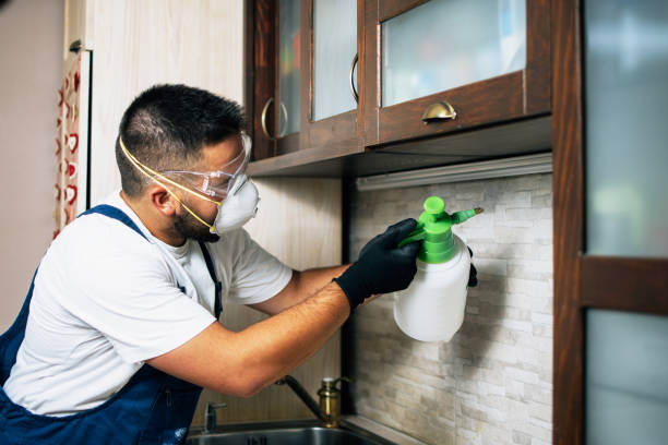 Reliable Presque Isle, ME Pest Control Solutions