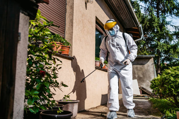 Best Bed Bug Extermination  in Presque Isle, ME