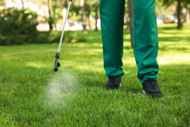 Best Pest Control Treatment  in Presque Isle, ME