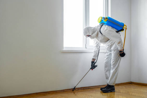 Wasp Removal Services in Presque Isle, ME